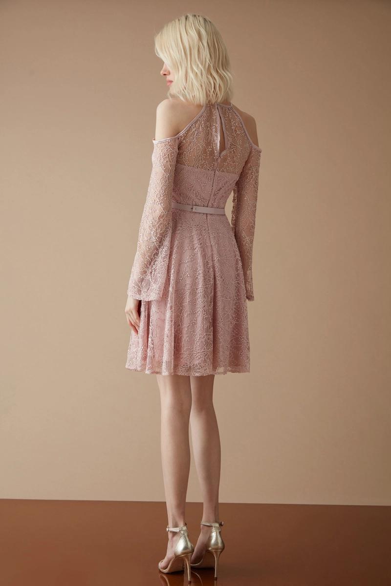 Powder Lace Sleeveless Mini Dress